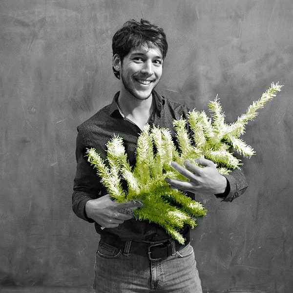 antonio_gestion-differenciee