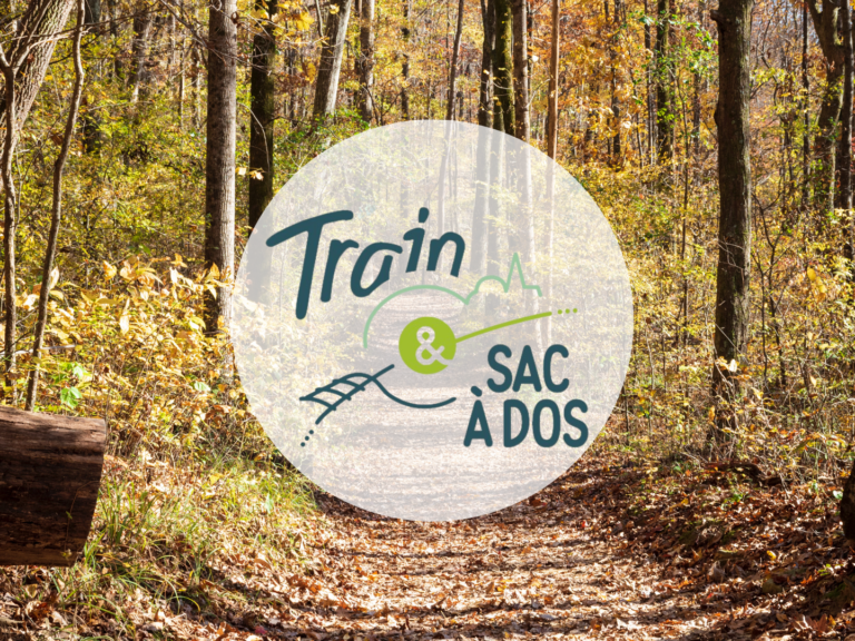 appel à projets artistiques