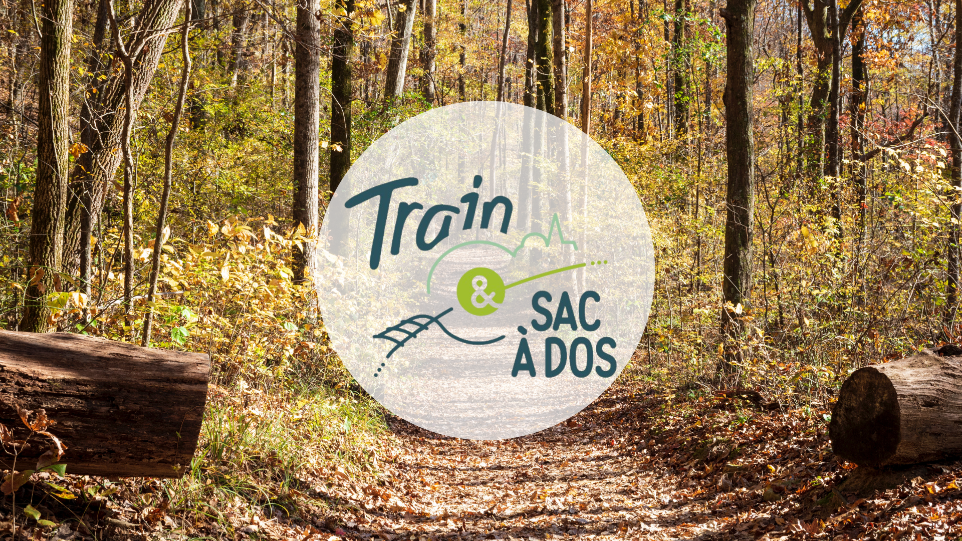 appel à projets artistiques