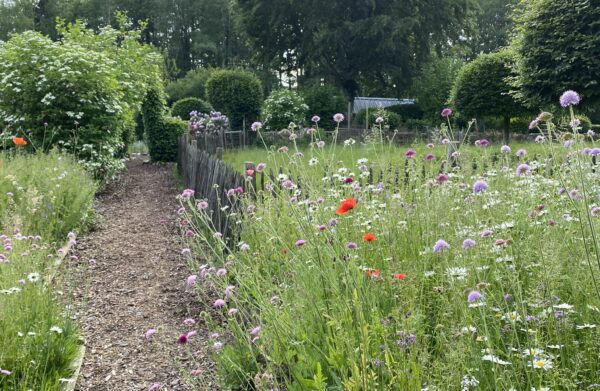 5 Agroécologie biodiversité