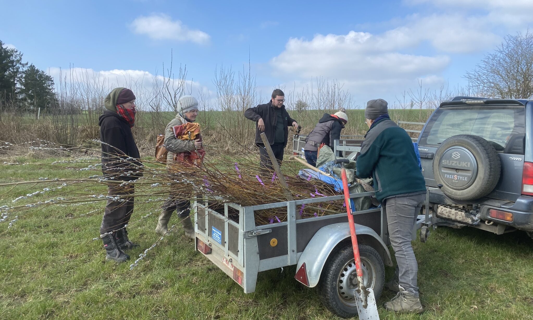 saules prélevés à Michamps : photo