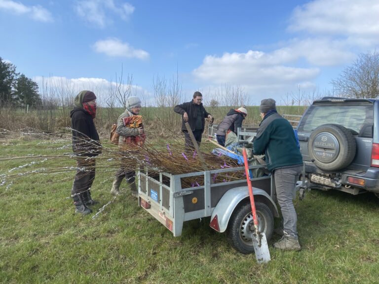saules prélevés à Michamps : photo