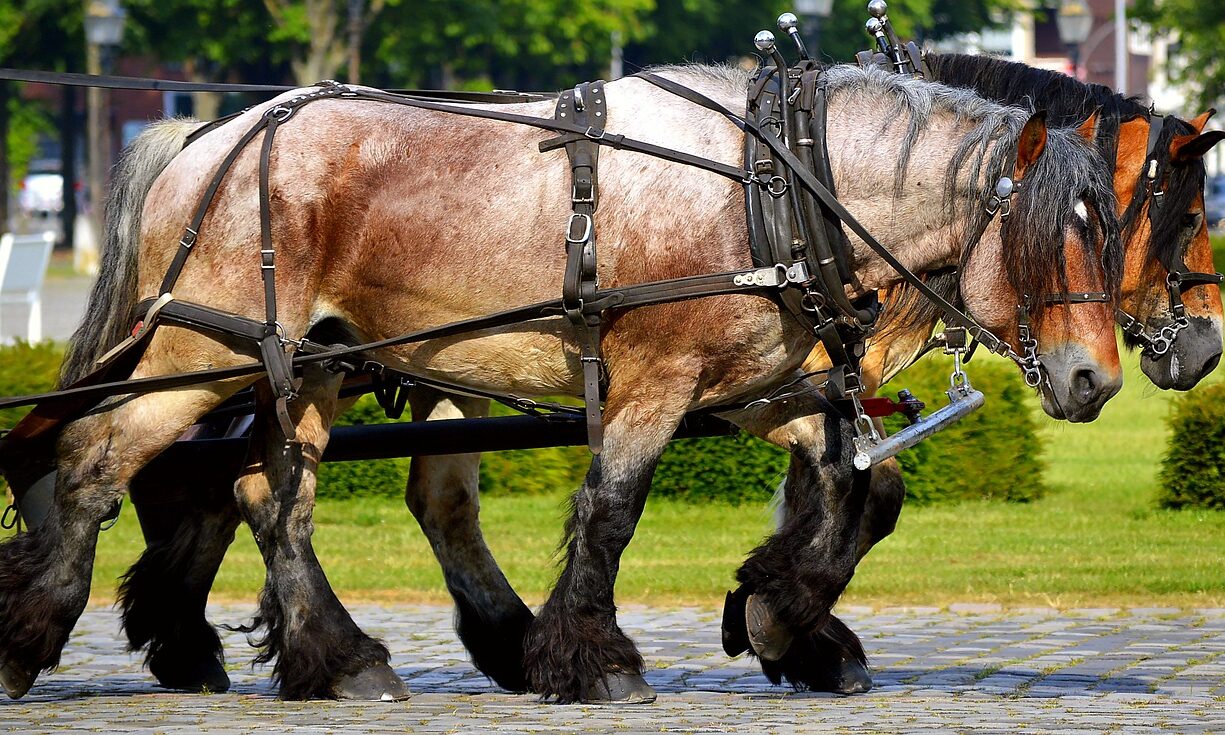 431051839_454449643572169_6059187600477278821_n