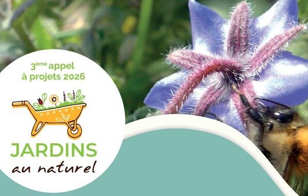 Appel à projet JAN Appel à projet JAN