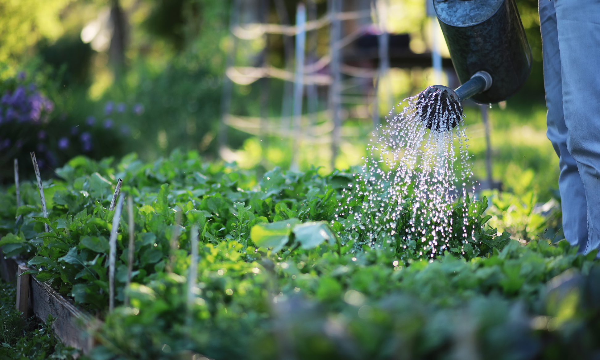 formation jardin naturel